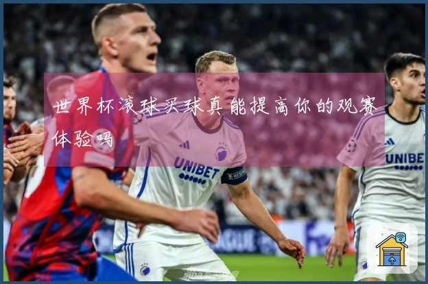 世界杯滚球买球真能提高你的观赛体验吗