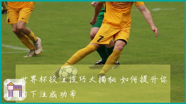 世界杯投注技巧大揭秘 如何提升你的下注成功率