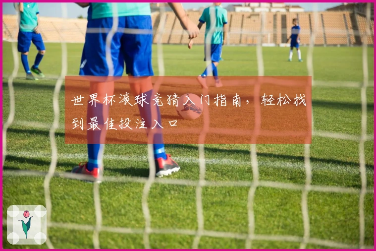 世界杯滚球竞猜入门指南，轻松找到最佳投注入口