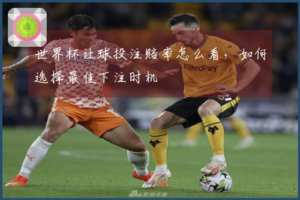 世界杯让球投注赔率怎么看，如何选择最佳下注时机
