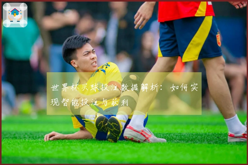 世界杯买球投注数据解析：如何实现智能投注与获利