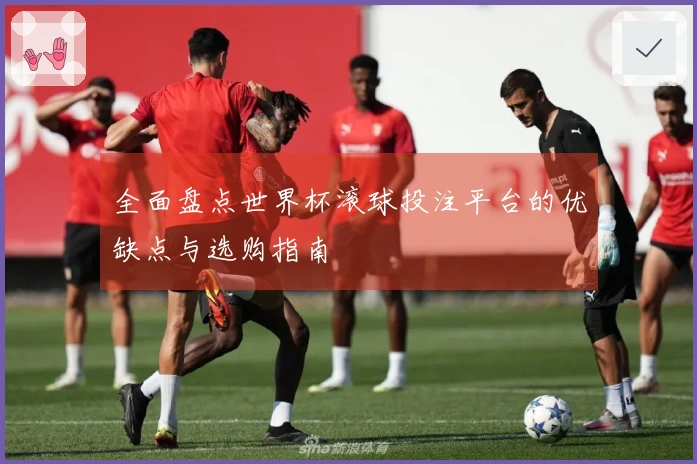 全面盘点世界杯滚球投注平台的优缺点与选购指南