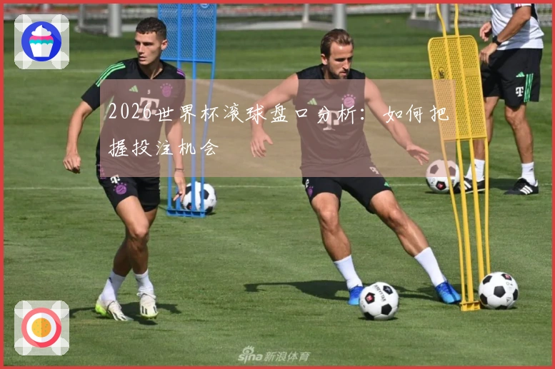2026世界杯滚球盘口分析：如何把握投注机会