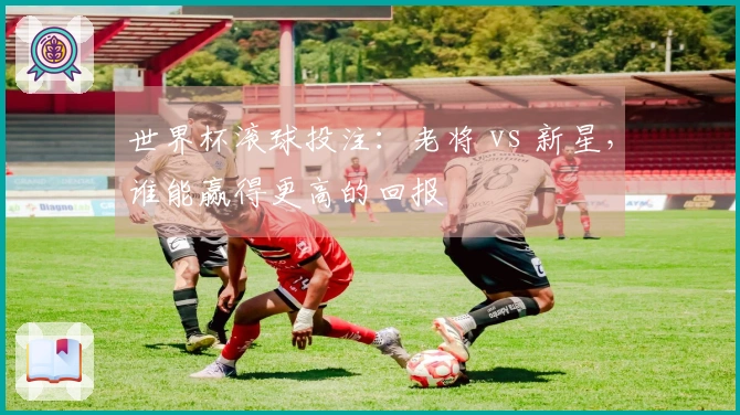 世界杯滚球投注：老将 vs 新星，谁能赢得更高的回报