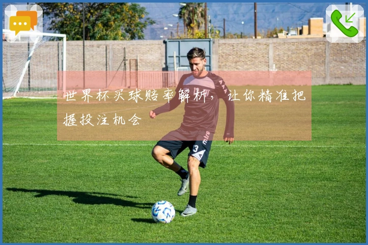 世界杯买球赔率解析，让你精准把握投注机会