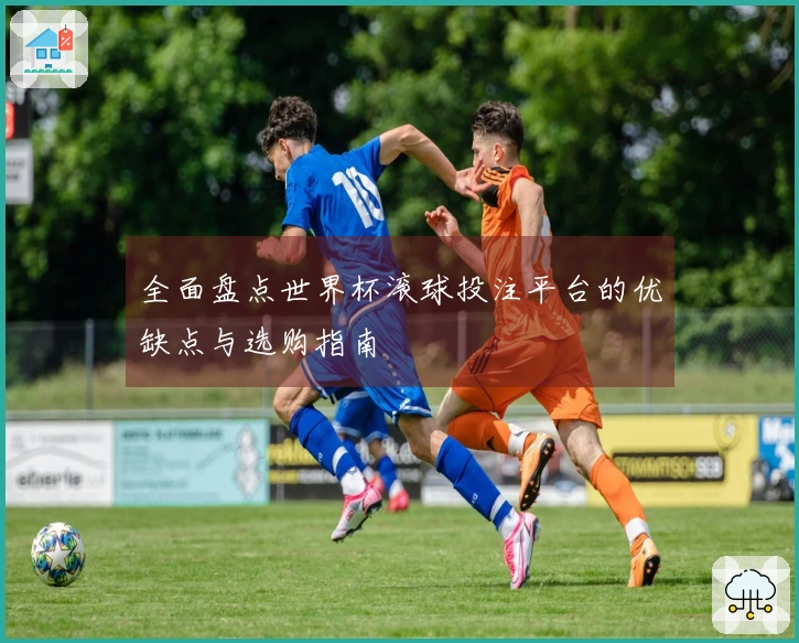 全面盘点世界杯滚球投注平台的优缺点与选购指南