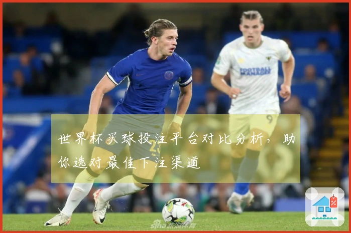 世界杯买球投注平台对比分析，助你选对最佳下注渠道