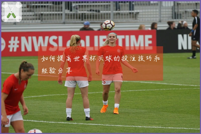 如何提高世界杯买球的投注技巧和经验分享