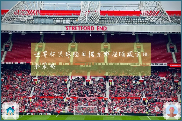 世界杯买球赔率揭示哪些暗藏玄机和策略