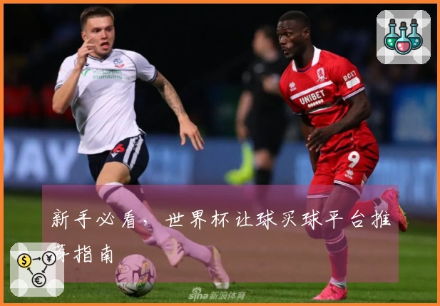 新手必看，世界杯让球买球平台推荐指南