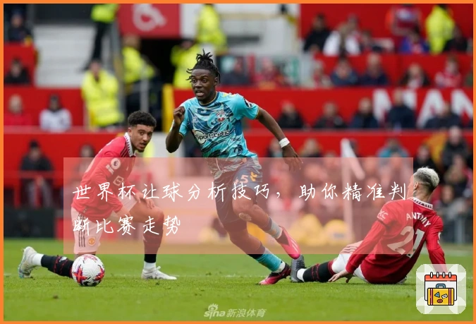 世界杯让球分析技巧，助你精准判断比赛走势
