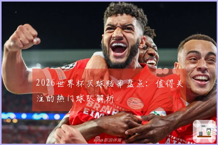 2026世界杯买球赔率盘点：值得关注的热门球队解析