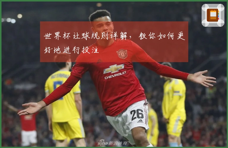 世界杯让球规则详解，教你如何更好地进行投注