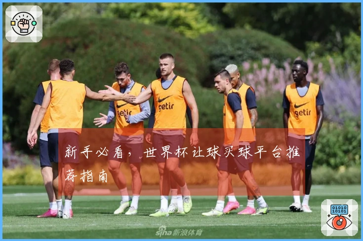 新手必看，世界杯让球买球平台推荐指南